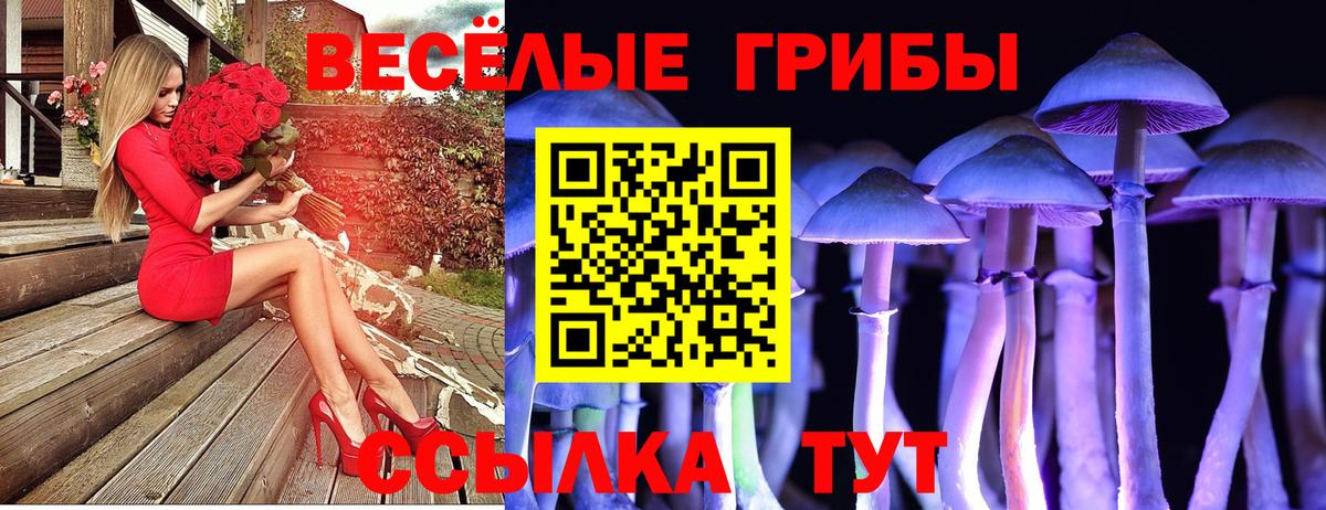 Богданович  Псилоцибиновые грибы прущие грибы  Вход с VPN 
