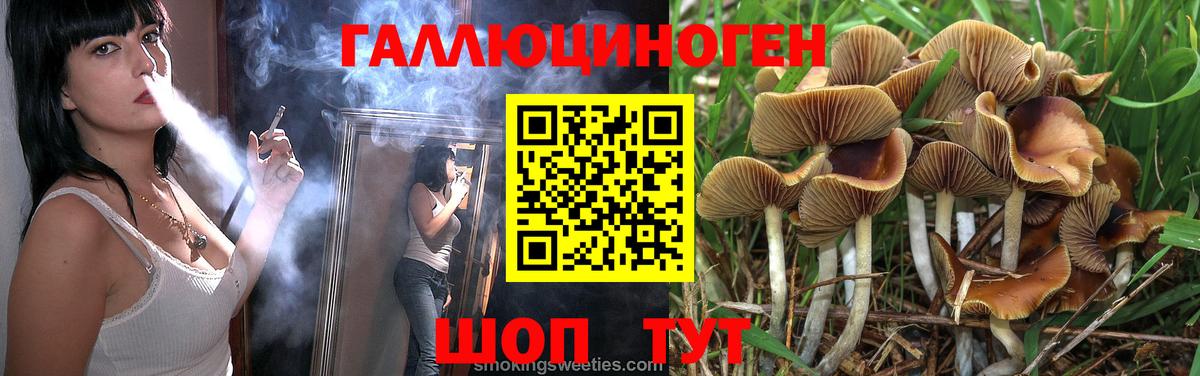 Псилоцибиновые грибы MAGIC MUSHROOMS Богданович